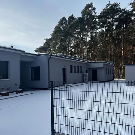 Pod Sosna Zakrzewo (Zlotow)