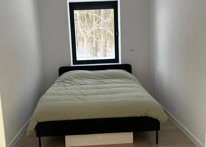 Pod Sosna * Zakrzewo (Zlotow)